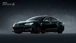 Model S Signature Performance.jpg