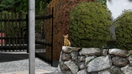 3.2-Mysterious Moving Cat At Kyoto Shoren-in.jpg