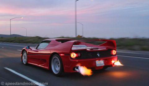 Ferrari_F50_480x280.jpg