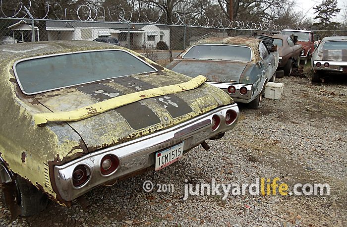 1972+1971+abandoned+Chevelle.jpg