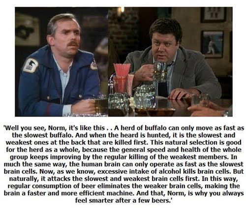 cliff-clavin-buffalo-beer-theory.jpg
