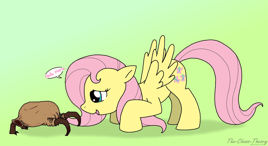 fluttershy__s_new_friend_by_the_chaos_theory-d46lv1w.png