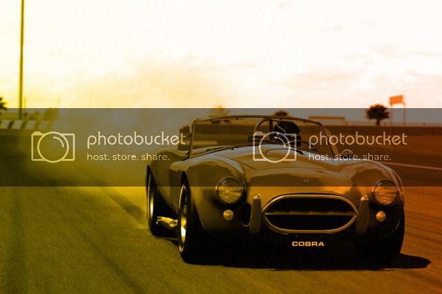RoadCourse-Daytona-shelby_1.jpg