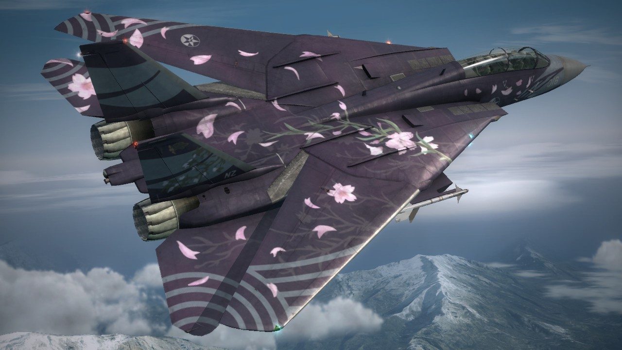 F-14D_ZIPANG_Rear.jpg