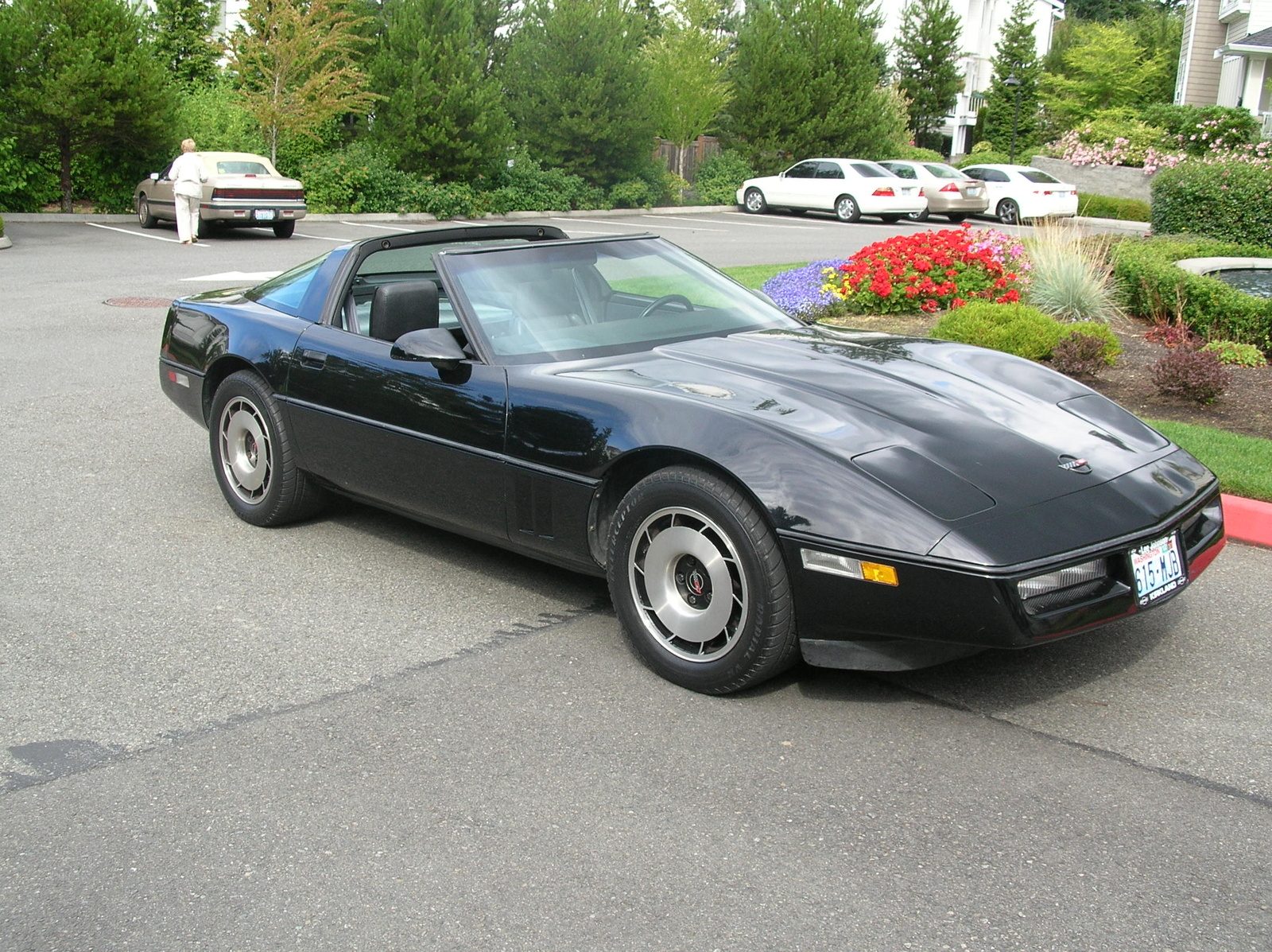 1984_chevrolet_corvette-pic-38581.jpeg