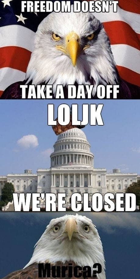 funny-picture-america-freedom-shutdown-murica.jpg