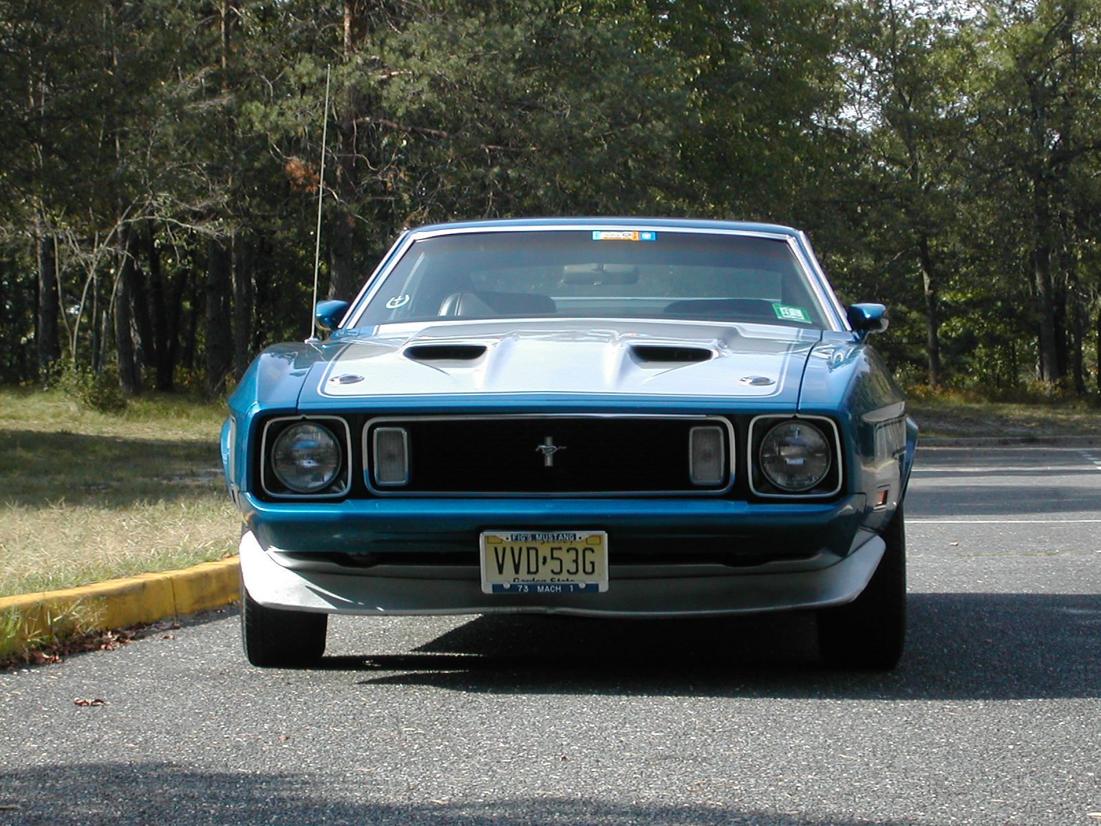 Mustang%20Front%20View%202.jpg