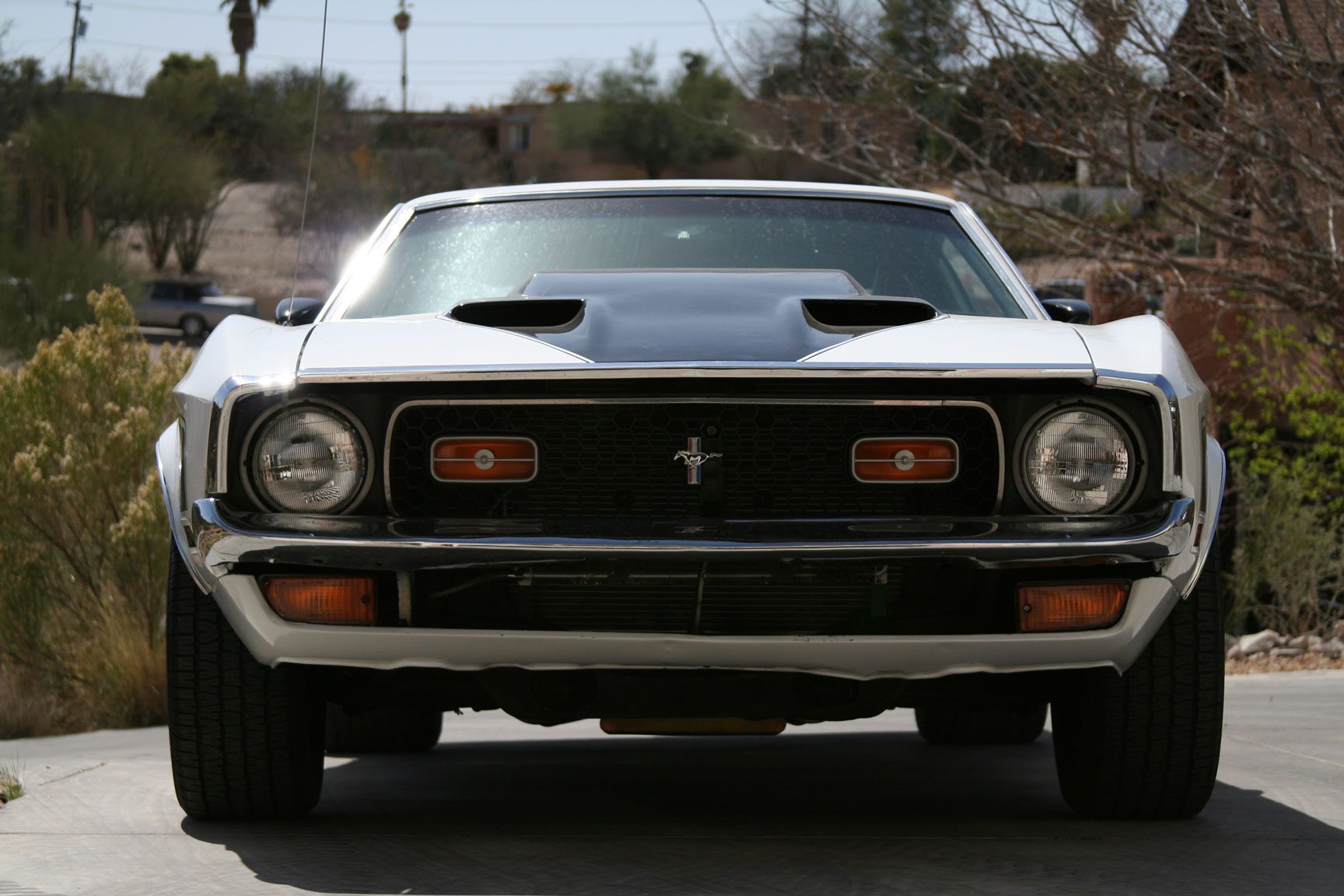 Mach1Front_custom.jpg