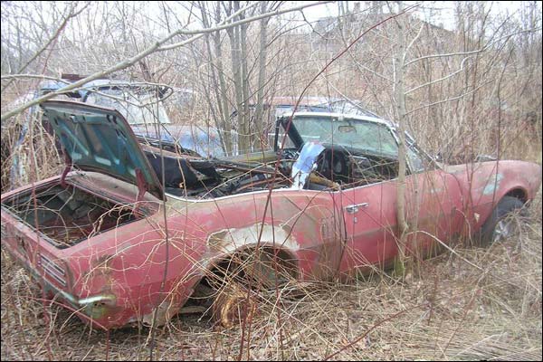 abandoned-1967-firebird-convertible-john.jpg