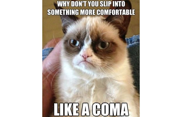 great-grumpy-cat-memes-1.jpg