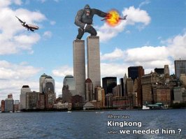 cj_6256.jpg