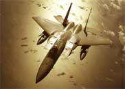 f15.jpg