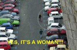 girldri2.jpg