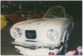 mustang single.jpg