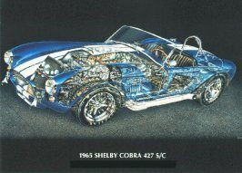 cobra21.jpg