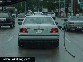bmw female.jpg