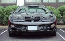 trans am.jpg