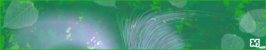 banner - freebie2.jpg