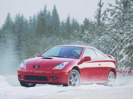 celica_rally.jpg