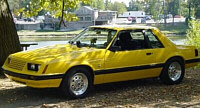 yellowstang.jpg