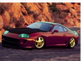 supra.jpg