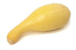 download.jpg
