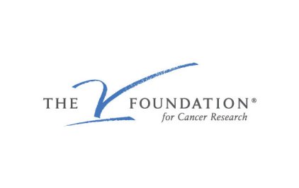 VFoundation_Clr_Pos-642x405.jpg