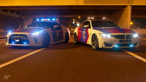 GTS INDO POLICE CAR 1.jpg