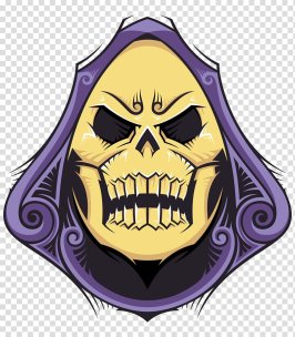 skeletor-he-man-masters-of-the-universe-t-shirt-t-shirt.jpg