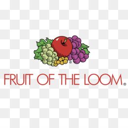 kisspng-fruit-of-the-loom-clip-art-vector-graphics-logo-t-fruit-of-the-loom-logo-svg-vector-am...jpg