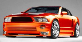 saleen454.jpg