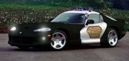 pursuit viper2.jpg