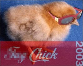 fagchick.jpg
