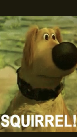 99682D21-AC3B-4C55-AAC8-EB9A698D8CE4.png