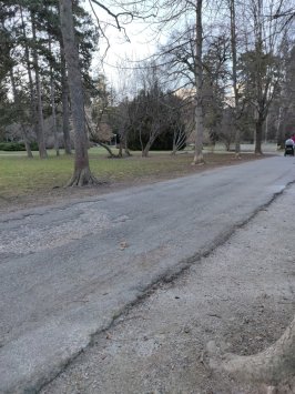 15-march.jpg