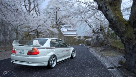 Cherry Blossom at Aizuwakamatsu Castle_.jpeg