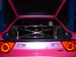 s13 trunkpink.jpg
