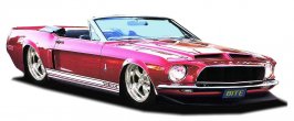 gt500chop.jpg