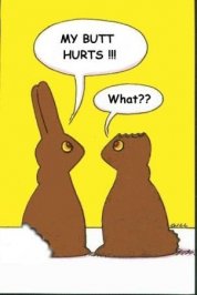 bunnies.jpg