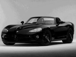 viper.jpg