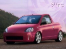 pinkvitz.jpg