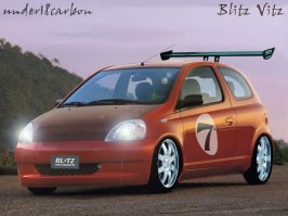 vitz1.jpg