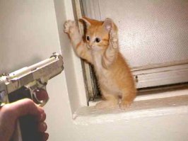 catburglar.jpg
