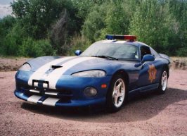 vipercop.jpg