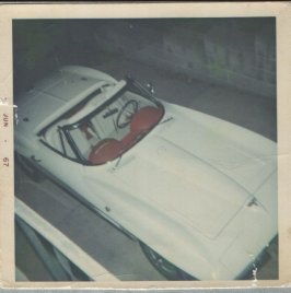 White 64.jpg