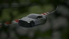 Nürburgring Nordschleife_13.jpg