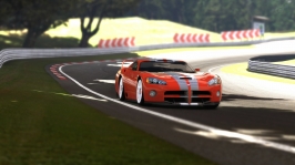 Deep Forest Raceway_6.jpg