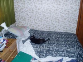 bed.jpg