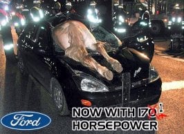 ford ouch.jpg