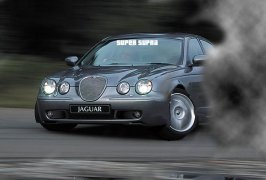 jaguar.jpg